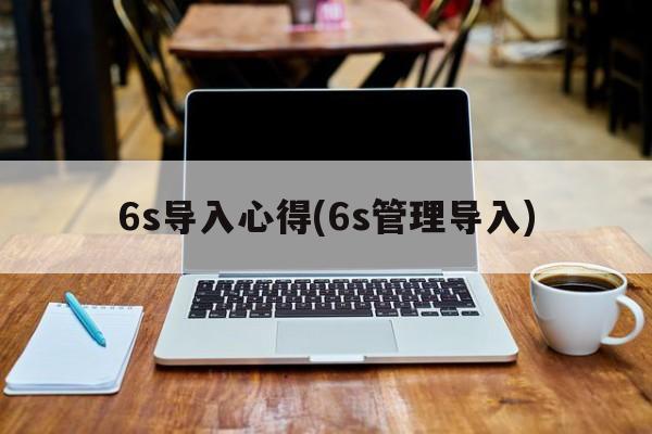 6s导入心得(6s管理导入)