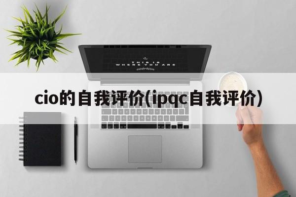 cio的自我评价(ipqc自我评价)